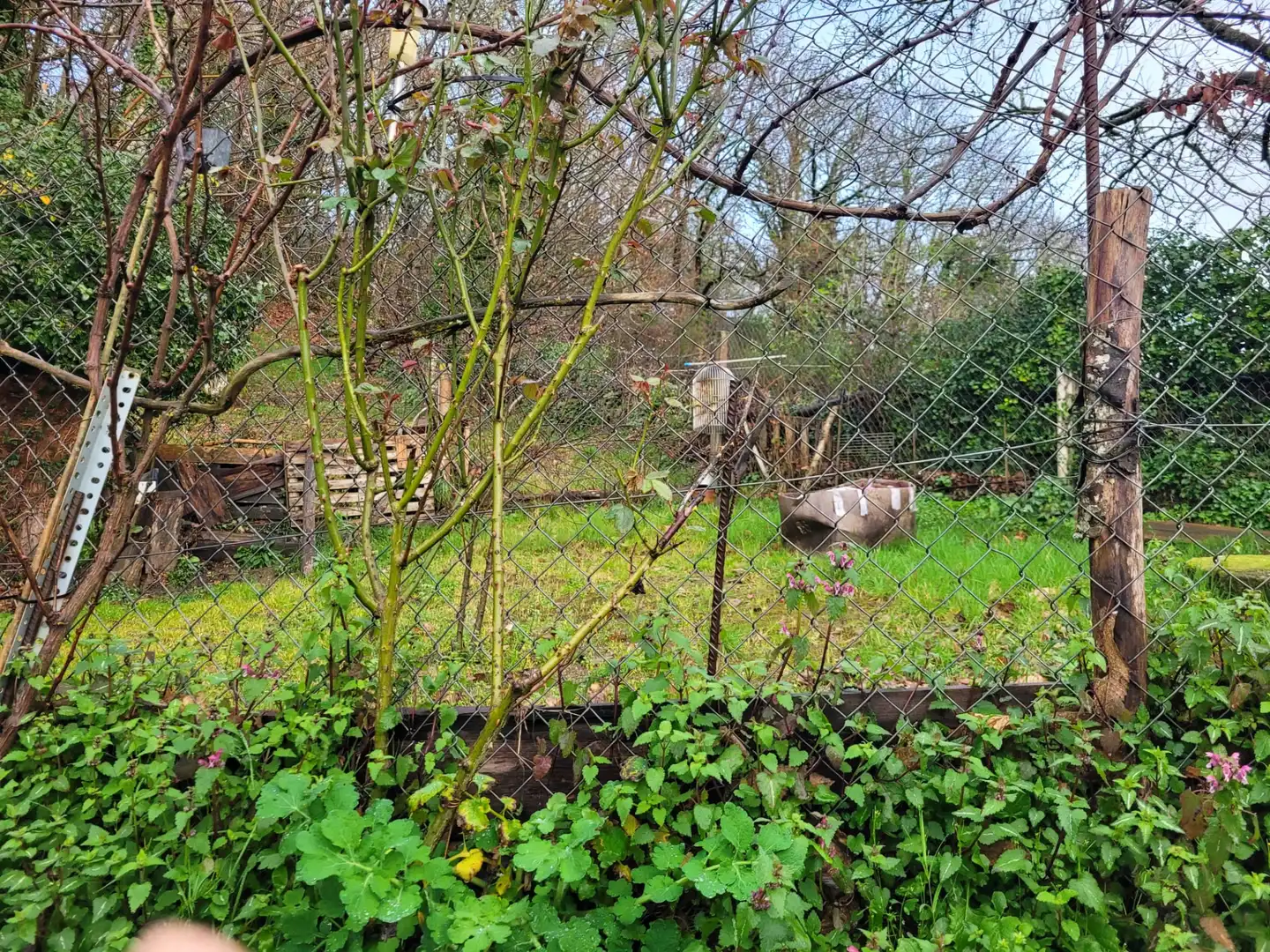 Casa o xalet en venda a Maceda