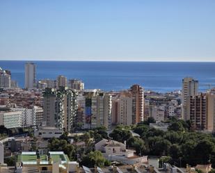 Vista exterior de Apartament en venda en Benidorm amb Jardí privat i Terrassa