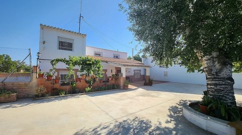 Foto 5 de Finca rústica en venda a Las Virtudes, Villena