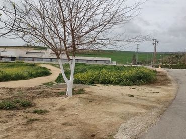 Residential land for sale in Pp-Oe-R5