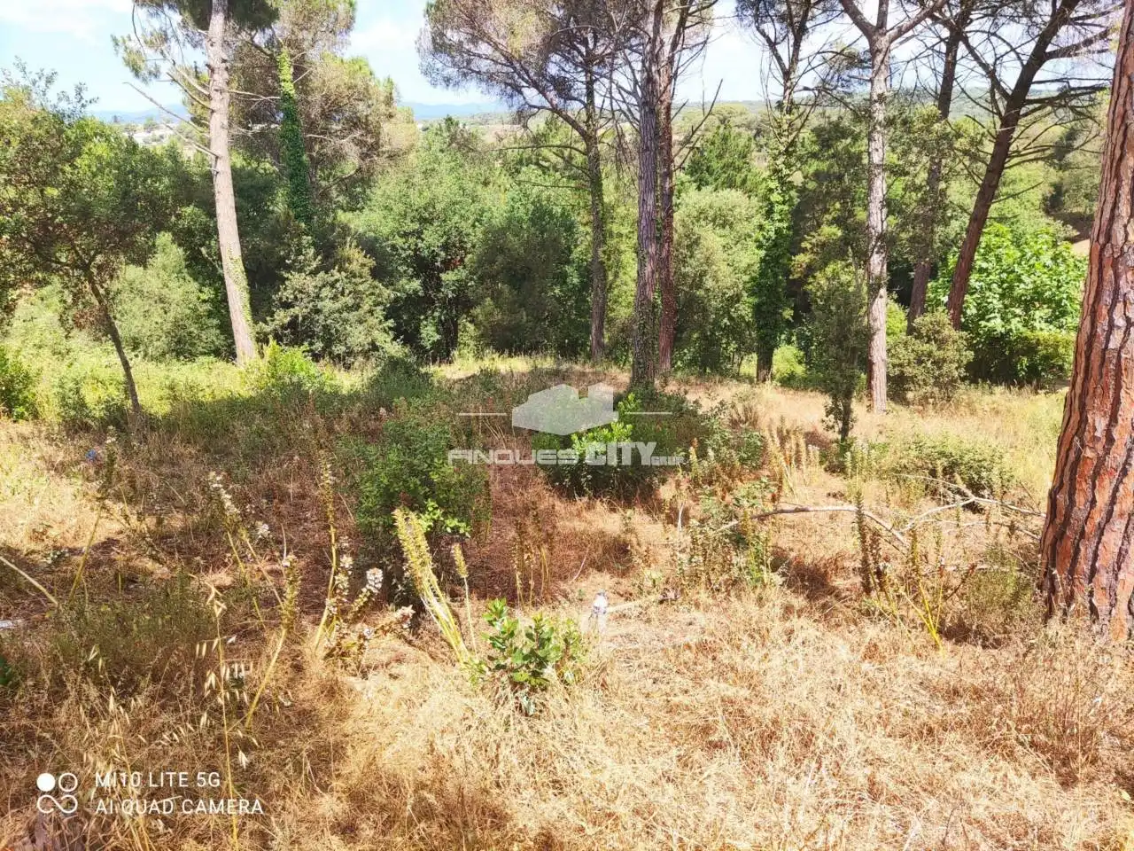 Terreno residencial en venta en Calle Nard, imagen 4