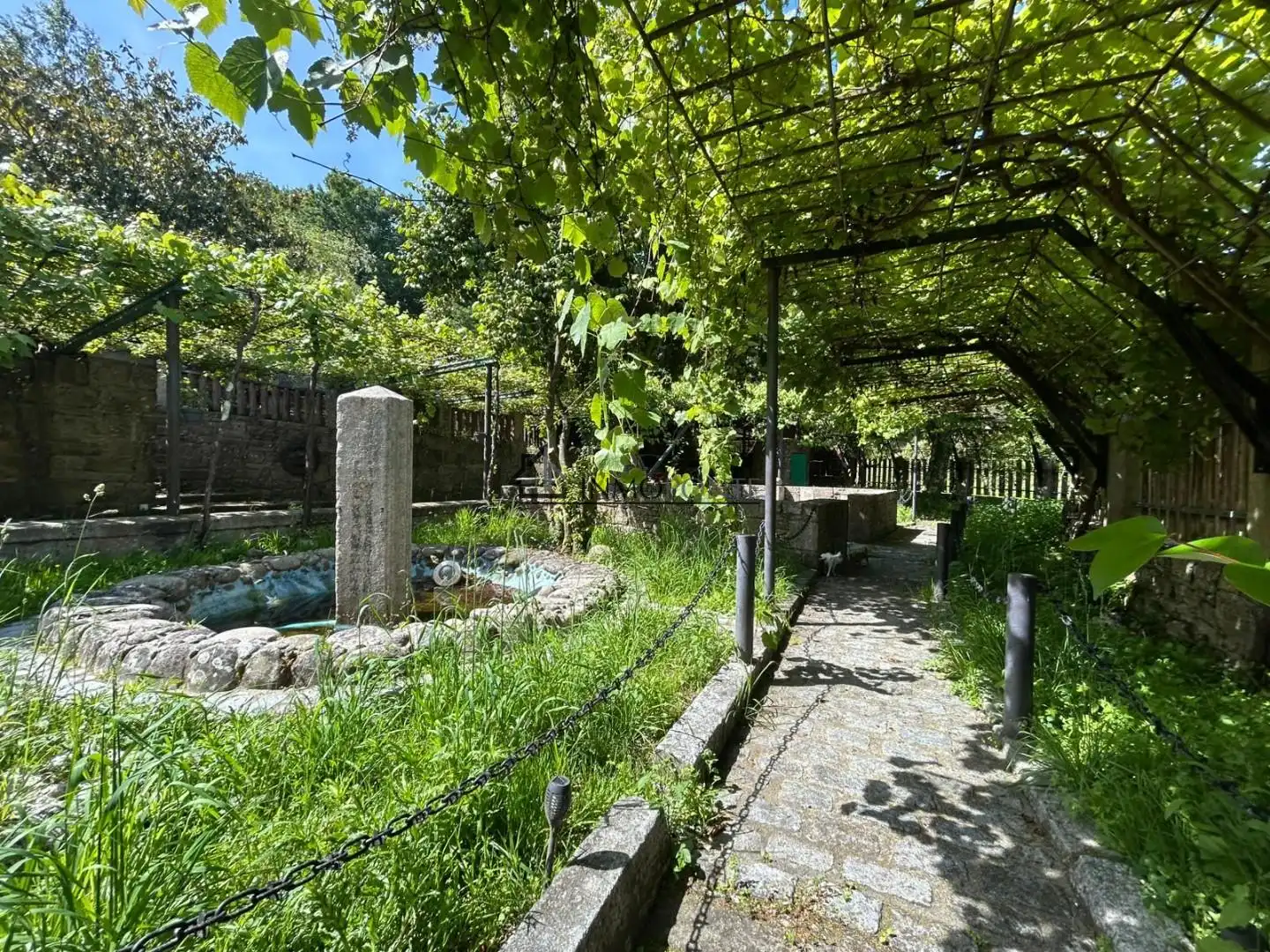 Commercial properties for sale in Cotobade