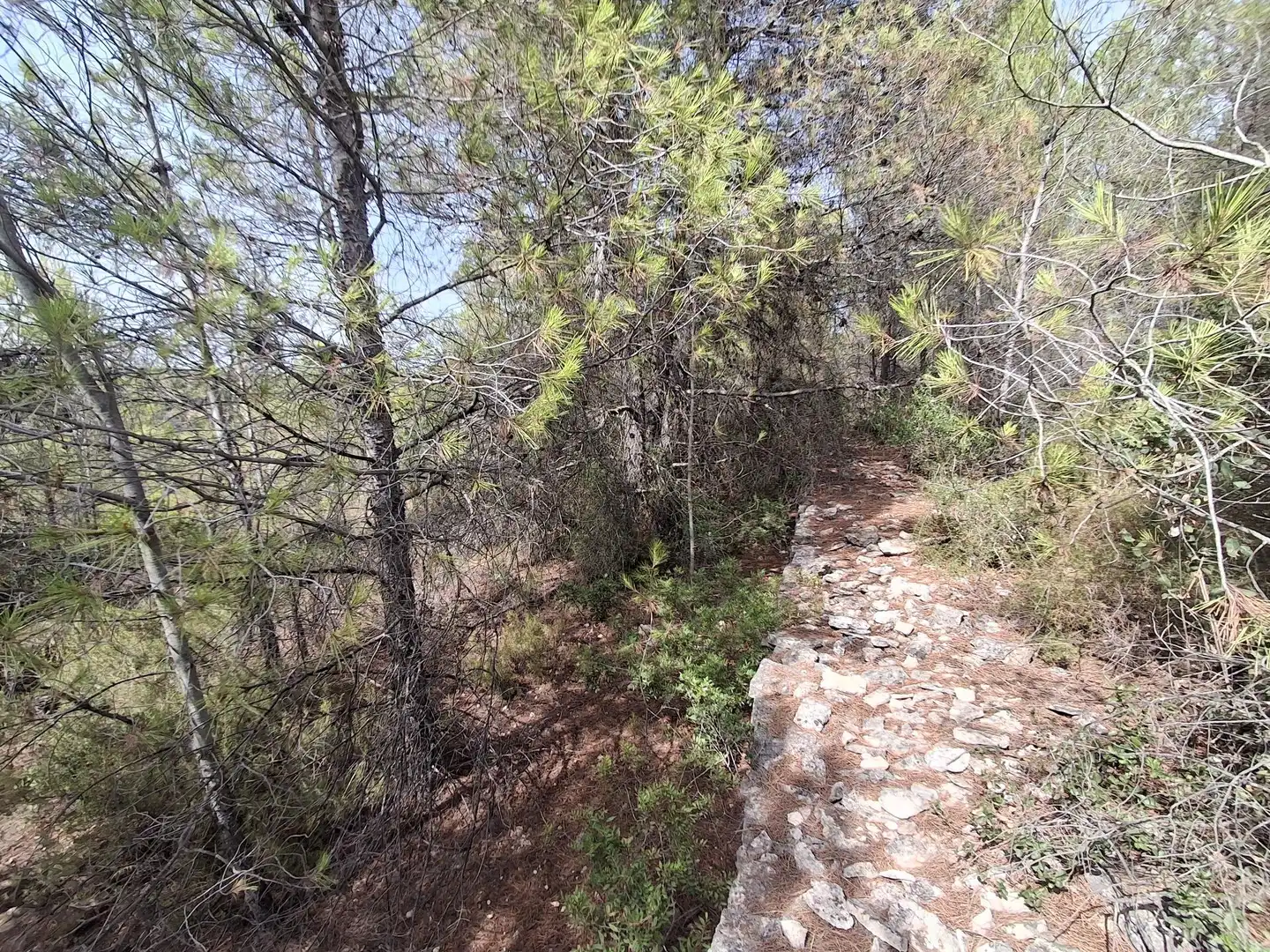 Rural land for sale in Gandesa, imagen 53