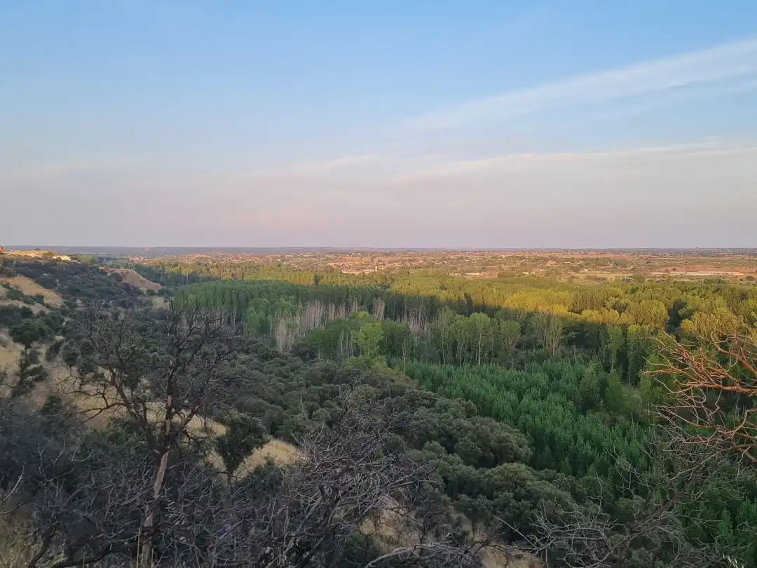 Terreni e lotti in vendita a Escalona, imagen 33