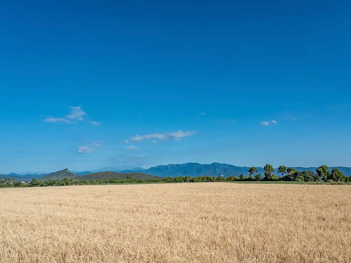 Finca rústica en venta en Llers