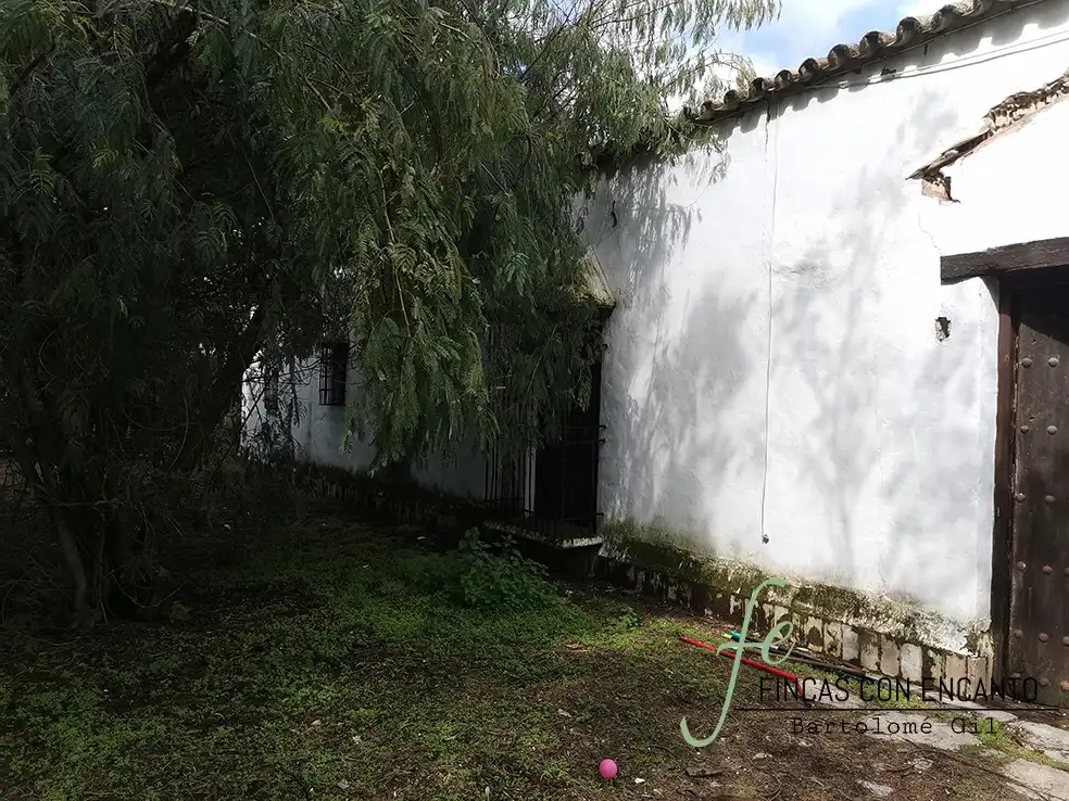 Jardí de Finca rústica en venda en Marchena amb Aire condicionat, Terrassa i Piscina