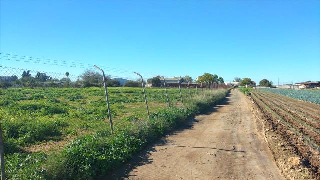 Terreno residencial en Venta en Sus-Dmn-04 Aeropuerto Vij en Valdezorras - El Gordillo