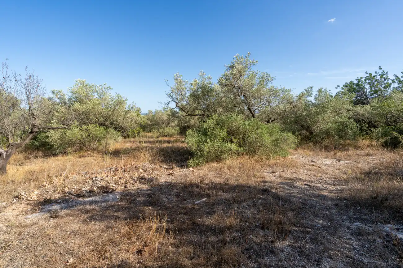Terrain rustique à vendre à Camí de les Parellades 10, imagen 5