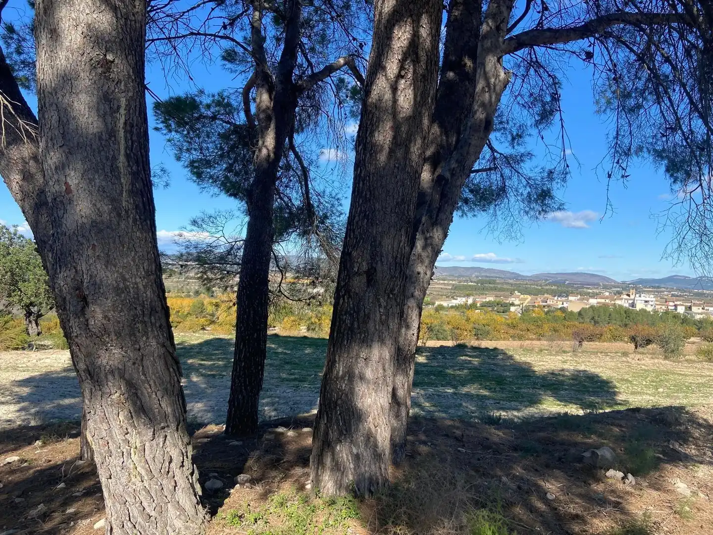 Terreno residenziale in vendita a Albaida