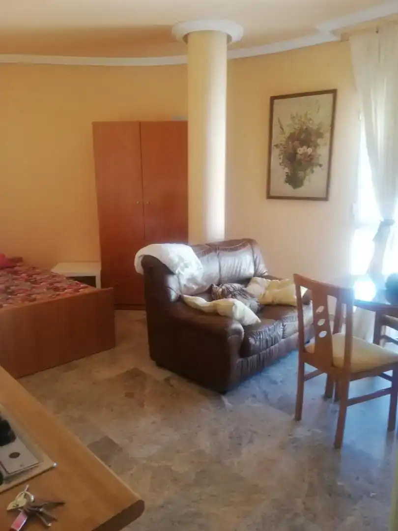 Sala d'estar de Estudi en venda en Ciudad Real Capital amb Aire condicionat i Balcó