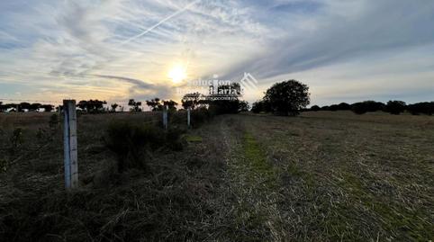 Foto 4 von Grundstücke zum Verkauf in Zamayón, Salamanca