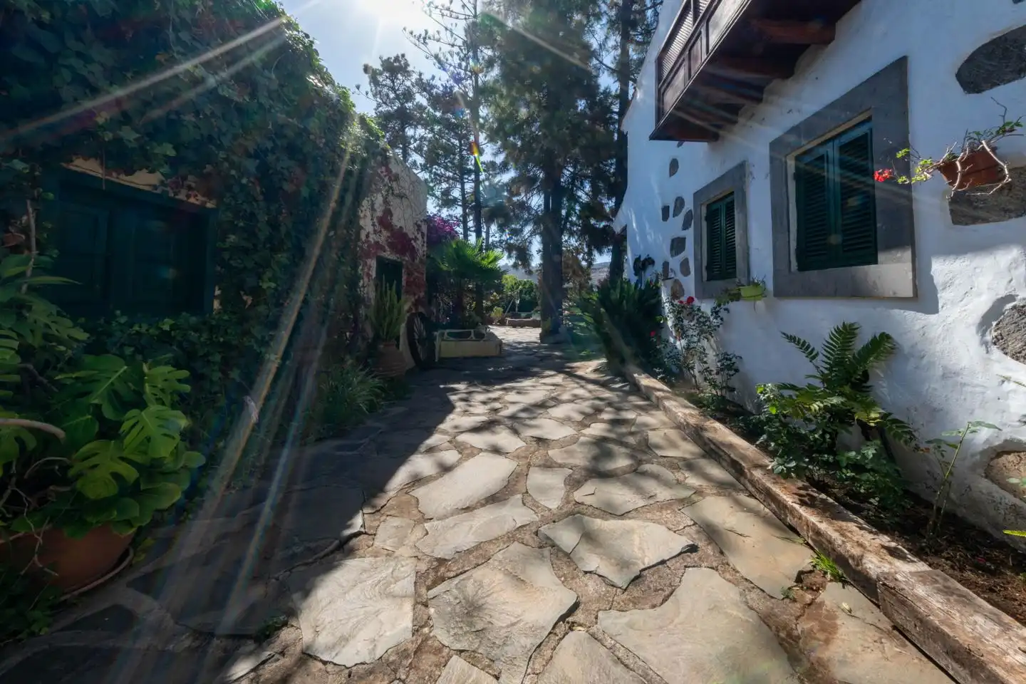 Vista exterior de Casa o xalet en venda en Santa Brígida amb Jardí privat i Terrassa