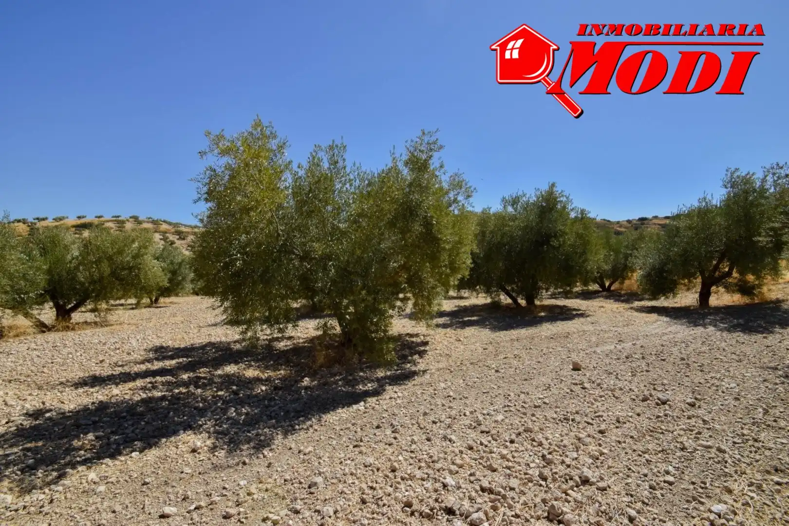Finca rústica en venda en Cacín amb Jardí privat