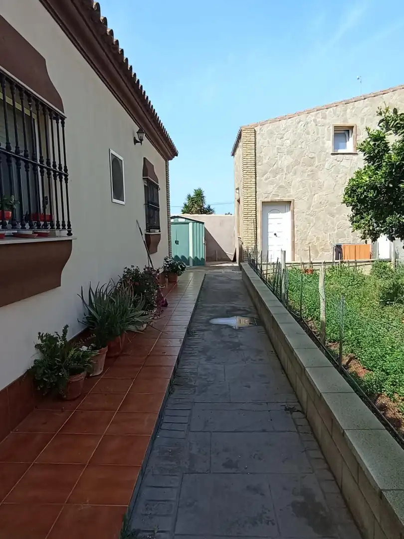 Vista exterior de Casa o xalet en venda en Chiclana de la Frontera amb Piscina