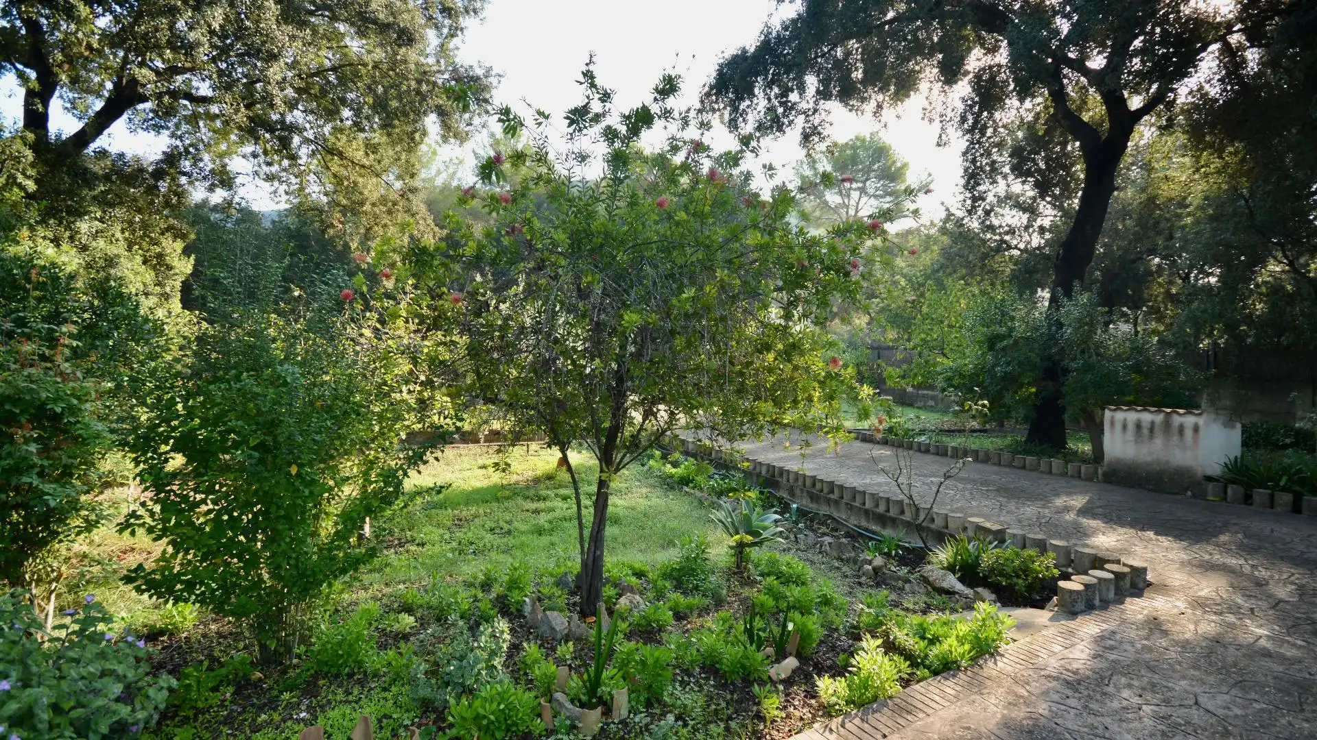 Jardí de Finca rústica en venda en Sa Pobla amb Jardí privat, Terrassa i Piscina comunitària