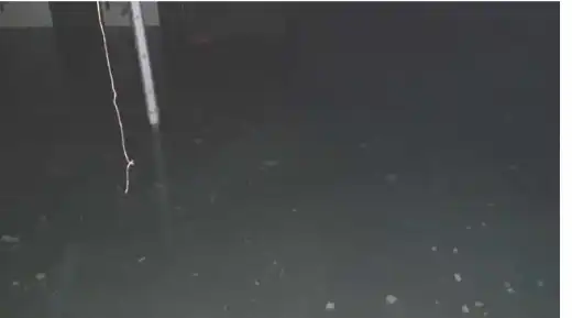 Immobles singulars amb ascensor en venda a Avenida do Parque, imagen 19