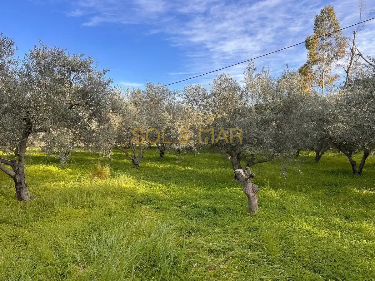 Casa rústica en venta en Nueva Aljaima - Las Tres Leguas - Los Mondeños, imagen 12