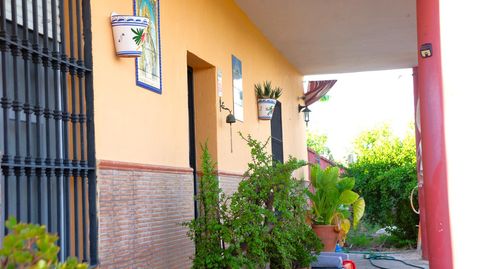 Foto 2 de Casa o chalet en venta en Pilas, Sevilla