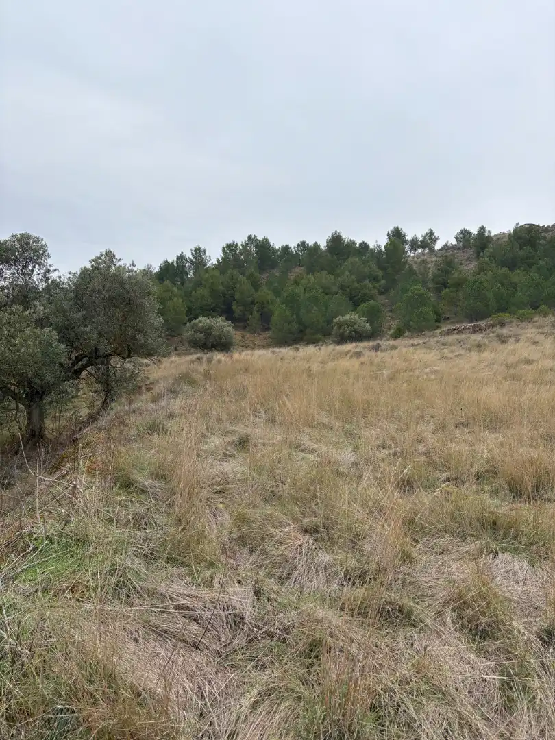 Terreno rústico en venta en Lardero, imagen 4