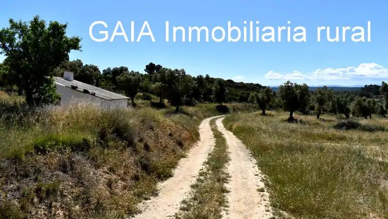 Finca rústica en venta en Maella