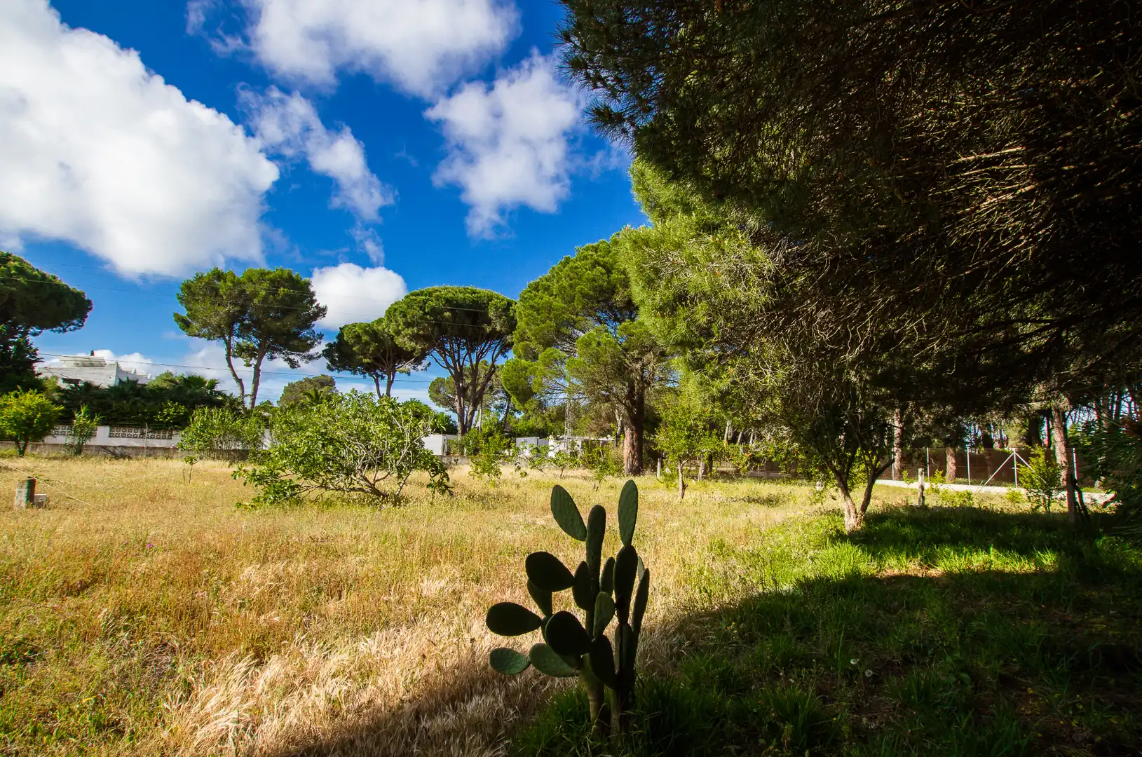 Casa o xalet en venda en Chiclana de la Frontera amb Moblat