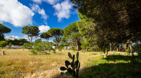 Foto 4 de Casa o xalet en venda a Pelagatos - Pago del Humo, Chiclana de la Frontera