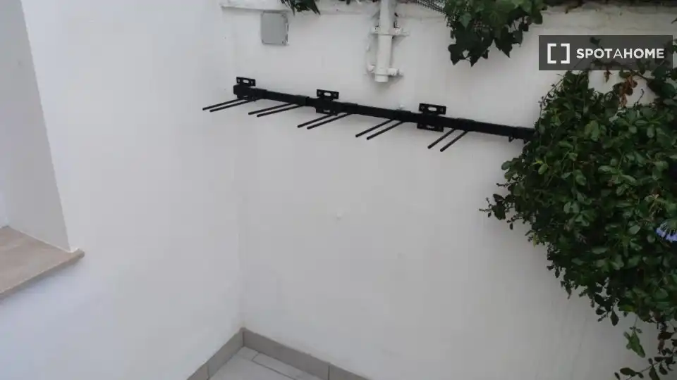 Zimmer in Rosaleda - Juventud