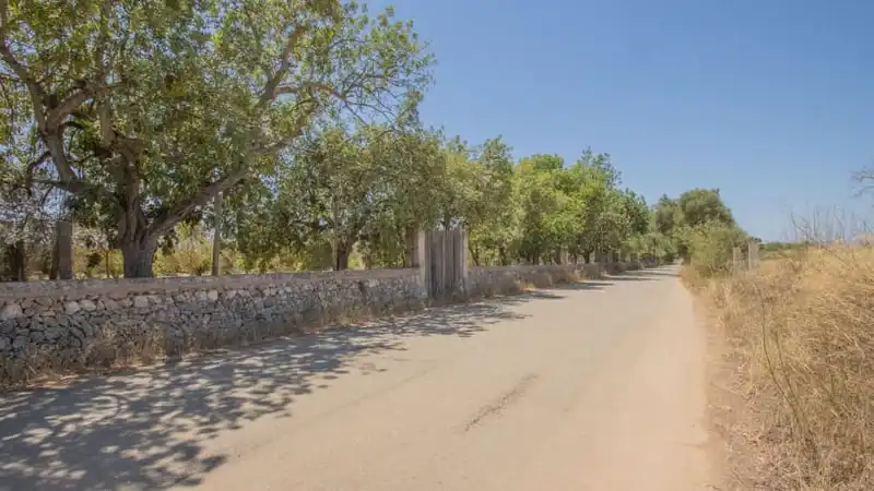 Casa o chalet en venta en Carrer Jaume I, Santa María del Camí