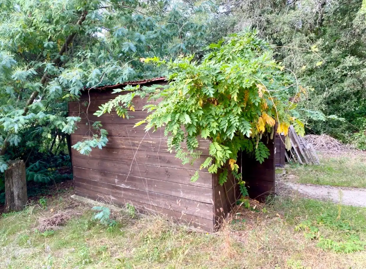 Casa en venda a Bescanó, imagen 37