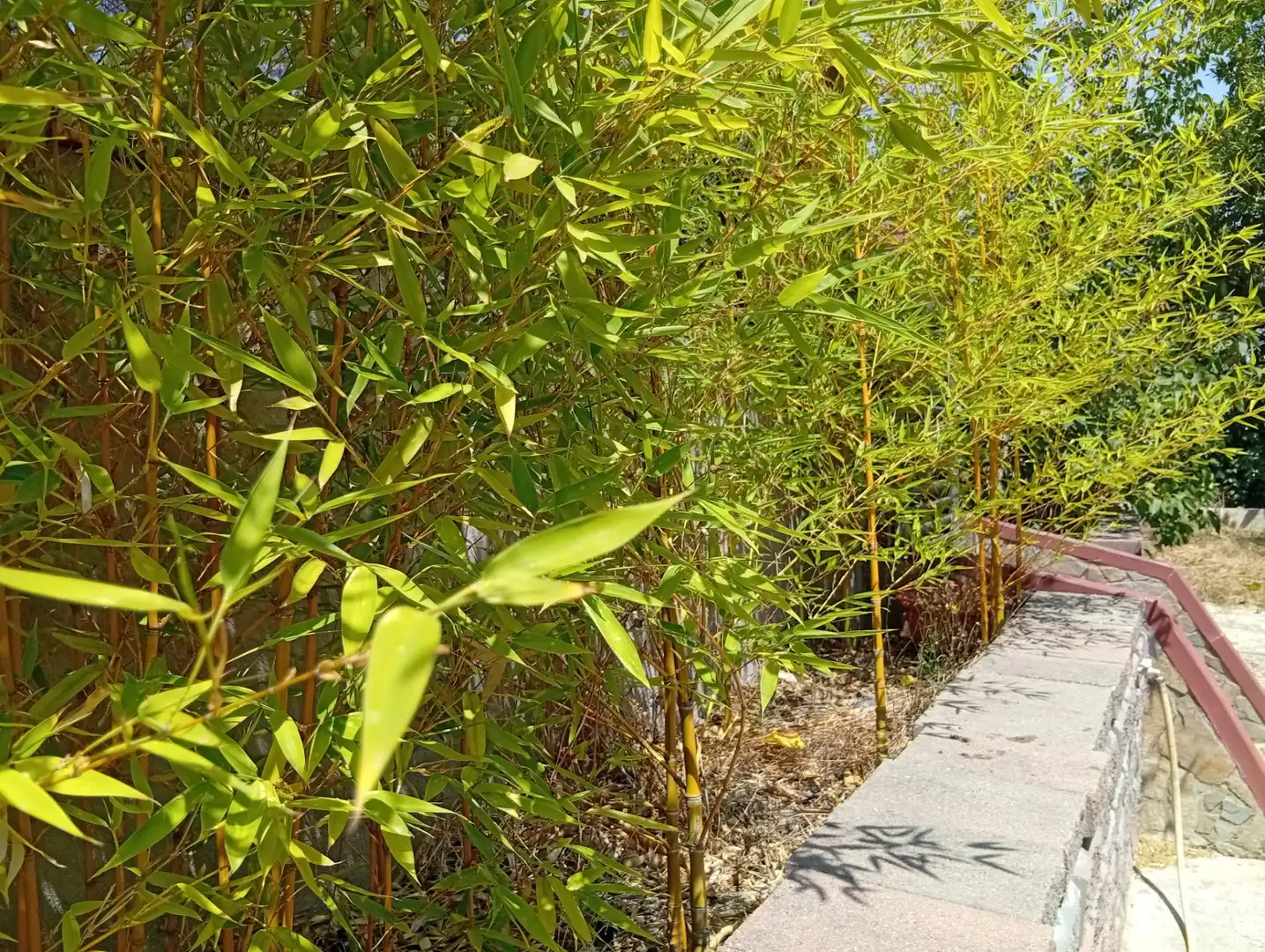 Jardí de Casa o xalet en venda en Tordera amb Calefacció, Jardí privat i Terrassa