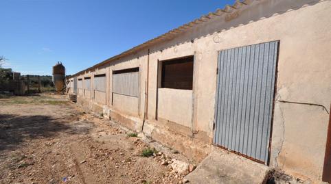 Photo 5 of Industrial buildings to rent in Platges, Tarragona