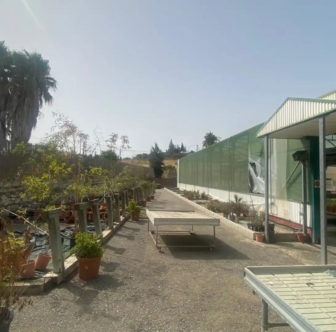 Garten von Fabrikhallen zur Miete in Cártama
