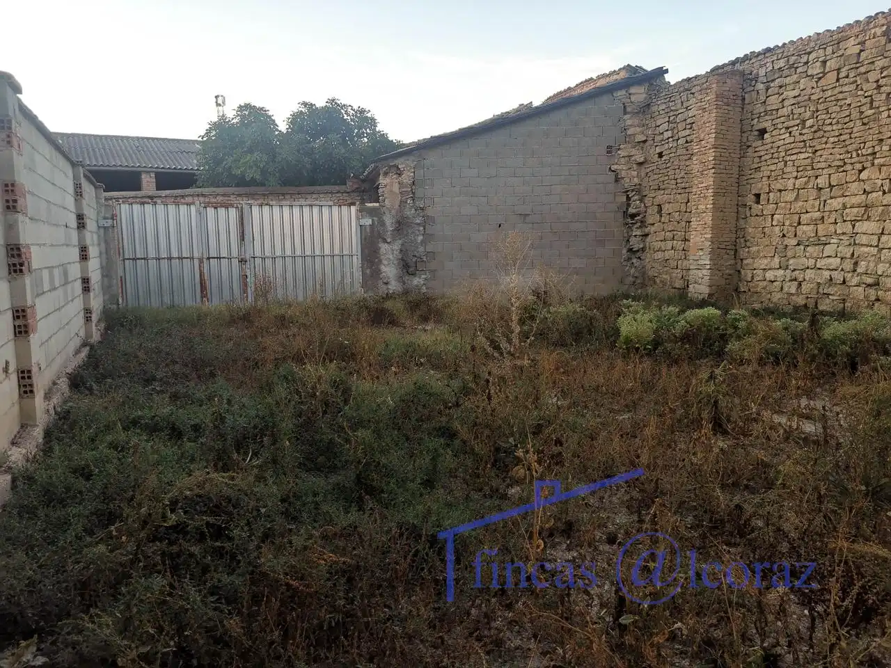 Casa o xalet en venda en Tardienta amb Jardí privat