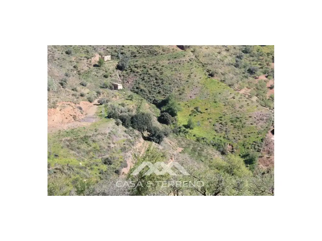 Residential for sale in El Borge