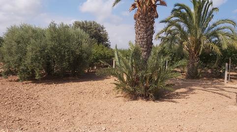 Photo 4 of House or chalet for sale in Torrellano, Elche / Elx