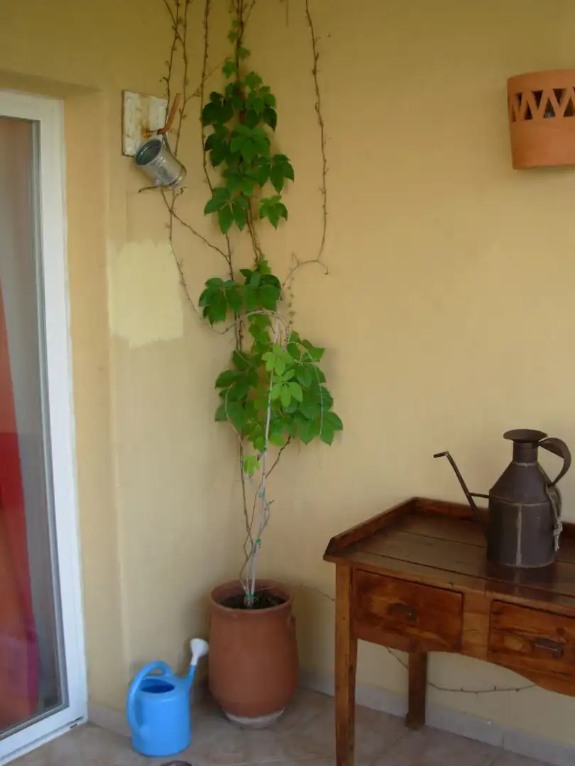 Apartament de lloguer a DEL DEPORTE 1, imagen 18