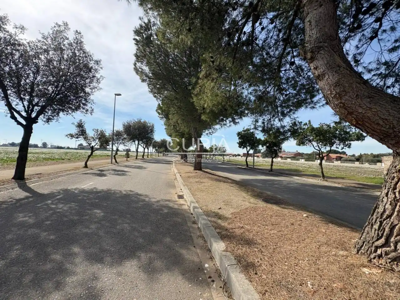 Residencial en venda a Calle Golf Raimat, 2, Raïmat