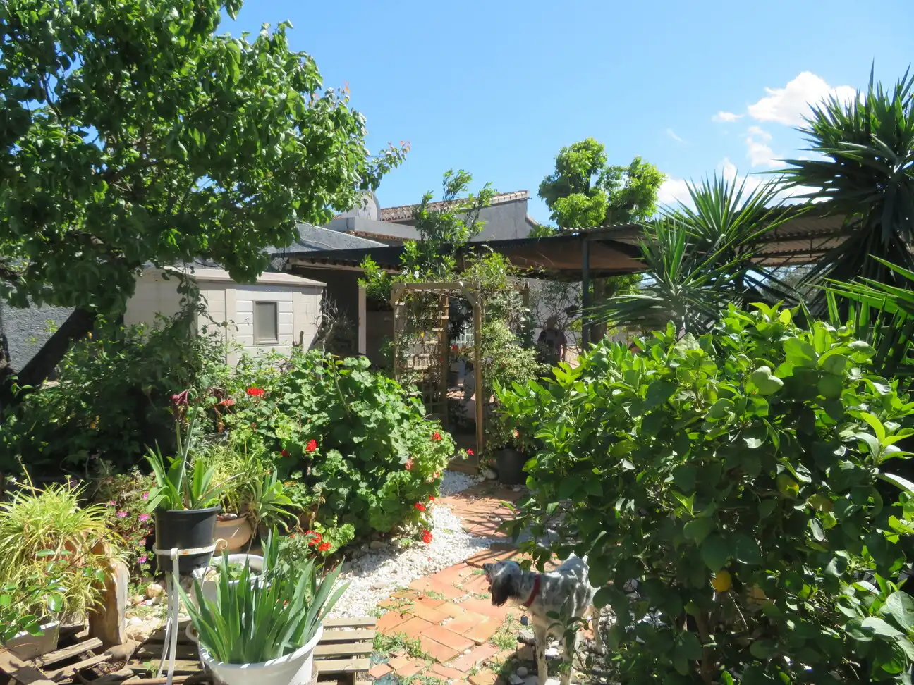 Detached house with garden for sale in El Verger, imagen 37