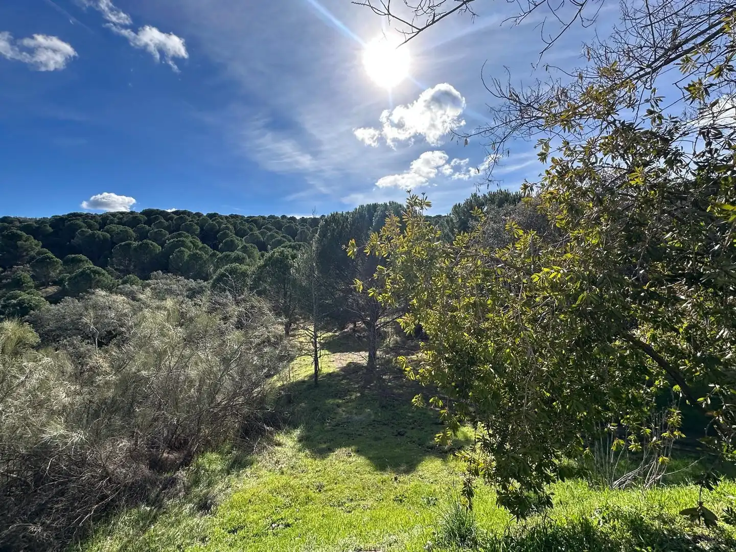 Casa o chalet en venta en Villaviciosa de Córdoba con Calefacción, Jardín privado y Terraza