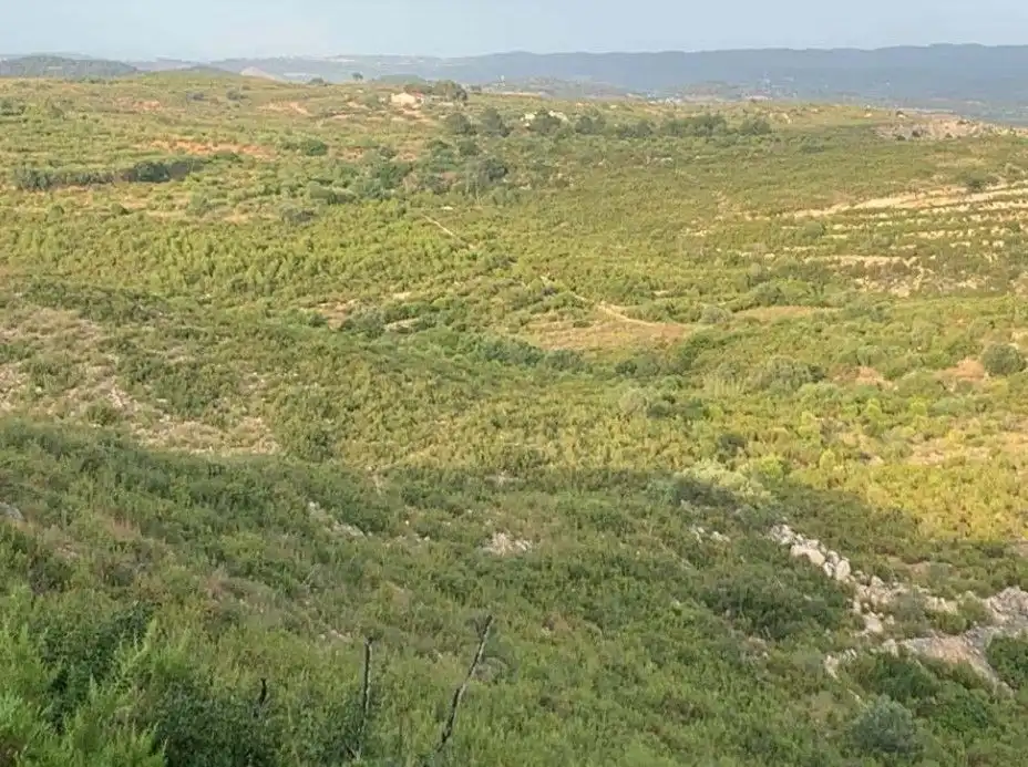 Residential land for sale in Partida Charchanet, imagen 7