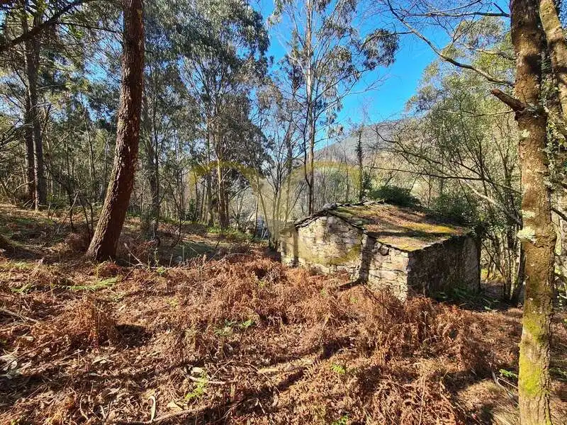 Casa o xalet en venda en Villayón amb Jardí privat