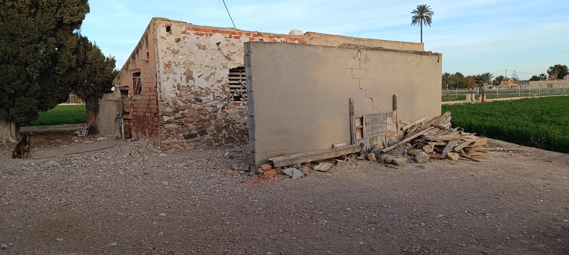 Vista exterior de Finca rústica en venda en Callosa de Segura amb Jardí privat