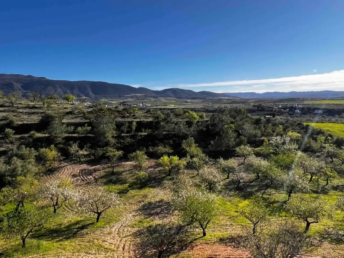 Land for sale in Gójar