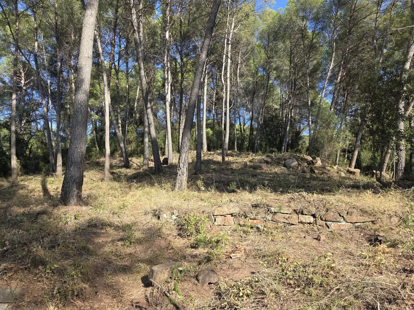 Wohnbaugrundstück zum Verkauf in Carrer Ramon Martí Alsina 7, imagen 8