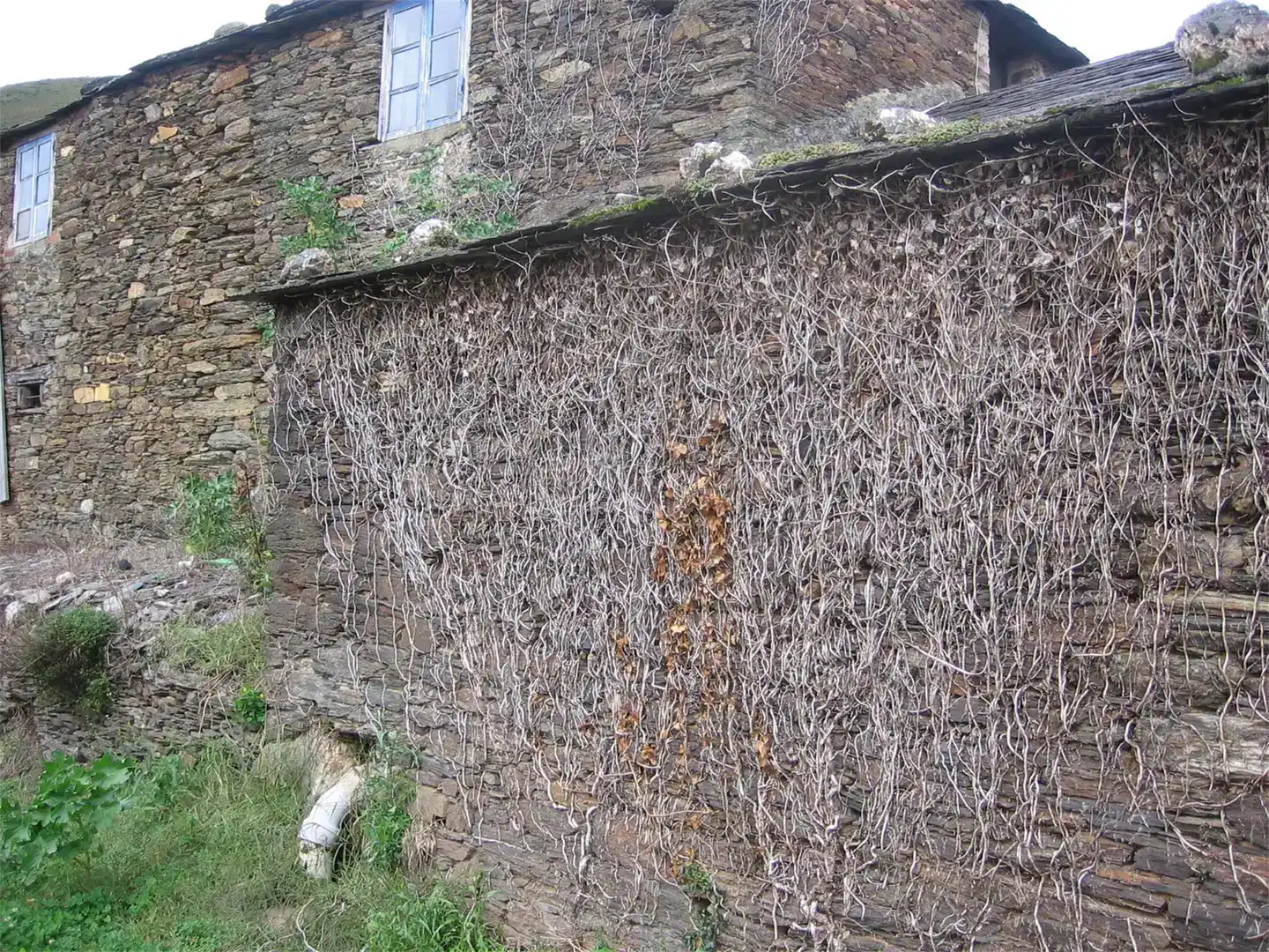 Vista exterior de Piso en venta en A Pontenova   con Amueblado