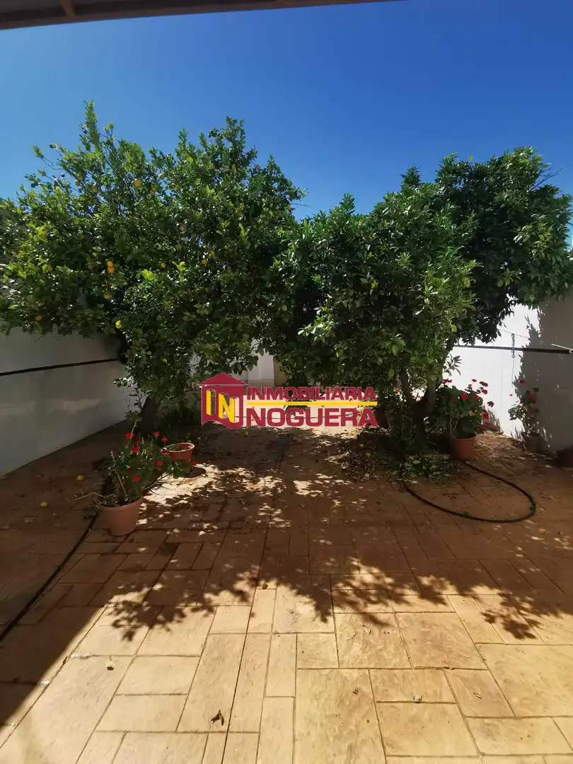 Jardín de Casa o chalet en venta en La Luisiana con Jardín privado