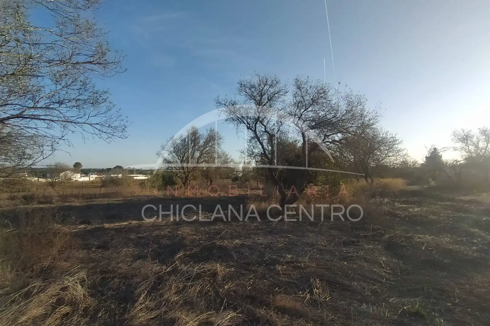 Terreni e lotti in vendita a Pelagatos - Pago del Humo, imagen 4