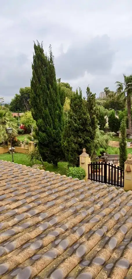 Garden of Houses for sale in Alicante / Alacant  with Air Conditioner, Private garden and Terrace