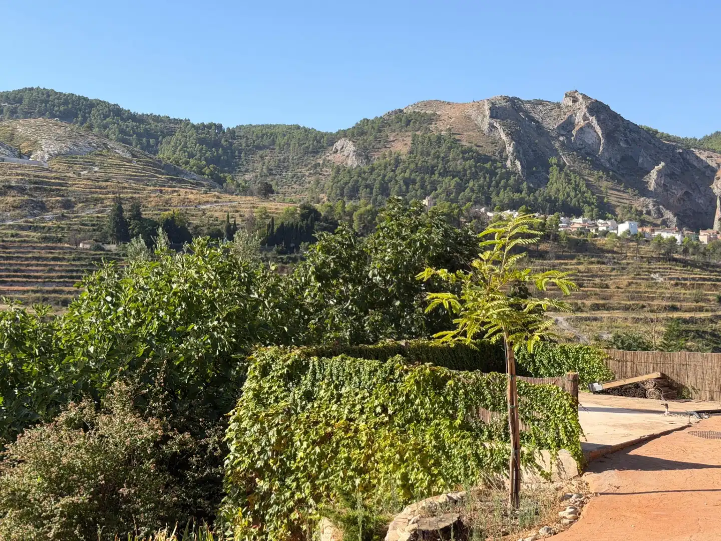 Vista exterior de Casa o chalet en venta en Penàguila con Calefacción, Jardín privado y Terraza
