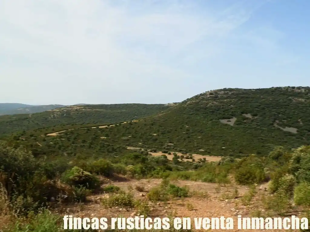 Terreny rústic en venda a Alcolea de Calatrava, imagen 13